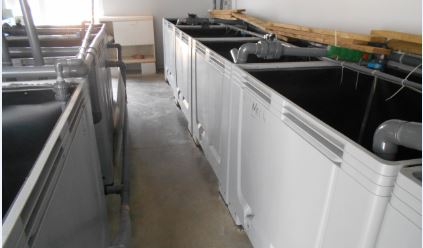 Feed Trial Tanks